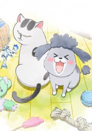 Весёлые дни с кошкой и собакой, Сезон 1